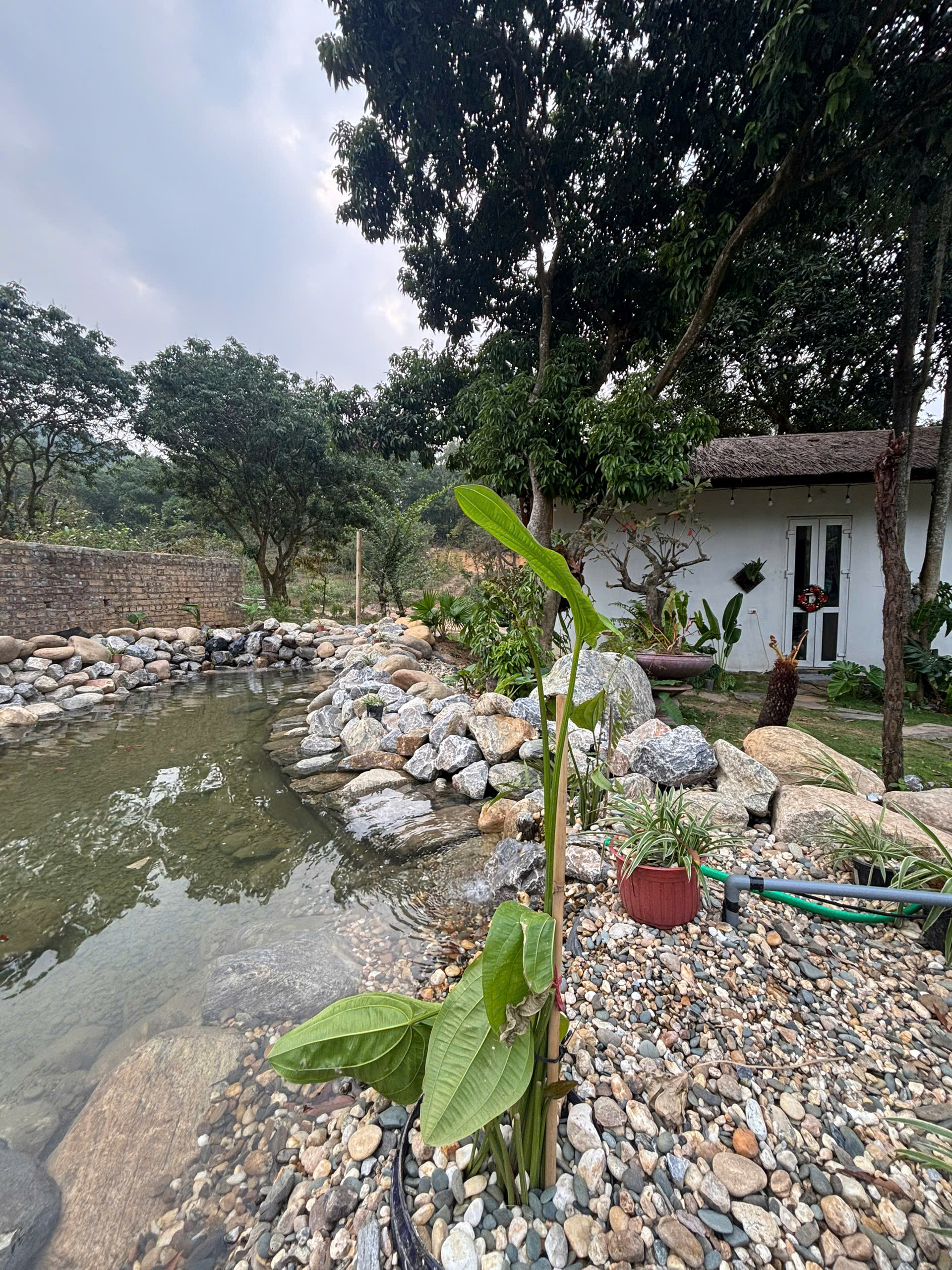Suối đá